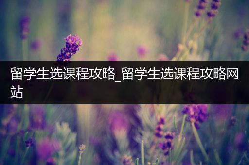留学生选课程攻略_留学生选课程攻略网站