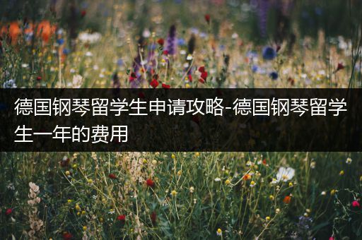德国钢琴留学生申请攻略-德国钢琴留学生一年的费用