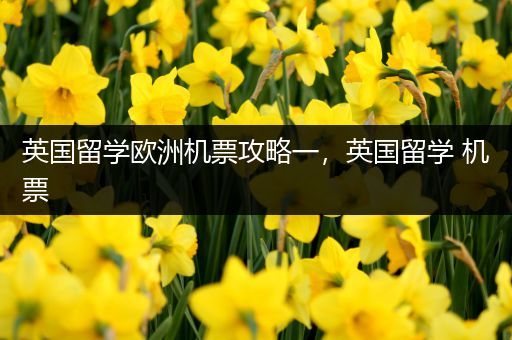 英国留学欧洲机票攻略一，英国留学 机票