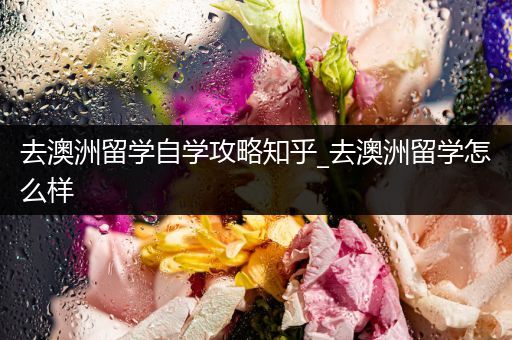 去澳洲留学自学攻略知乎_去澳洲留学怎么样