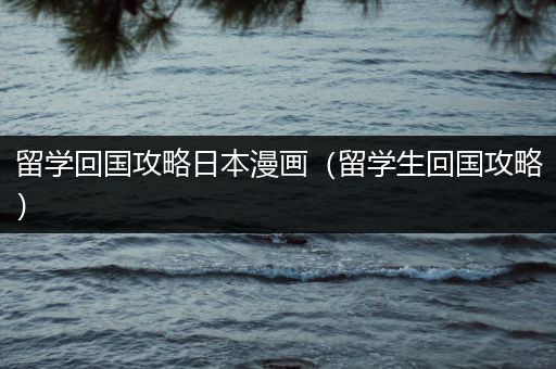 留学回国攻略日本漫画（留学生回国攻略）