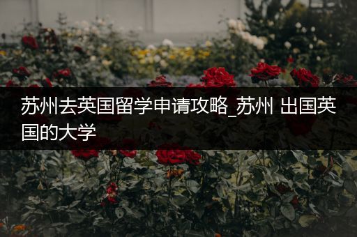 苏州去英国留学申请攻略_苏州 出国英国的大学