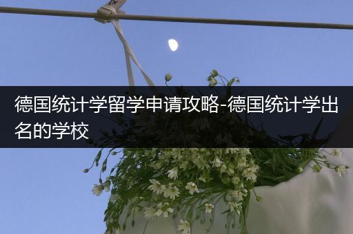 德国统计学留学申请攻略-德国统计学出名的学校