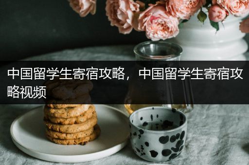 中国留学生寄宿攻略，中国留学生寄宿攻略视频