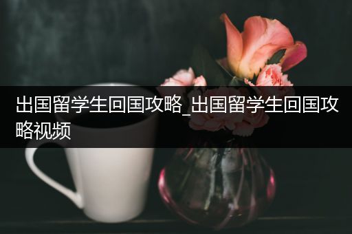 出国留学生回国攻略_出国留学生回国攻略视频