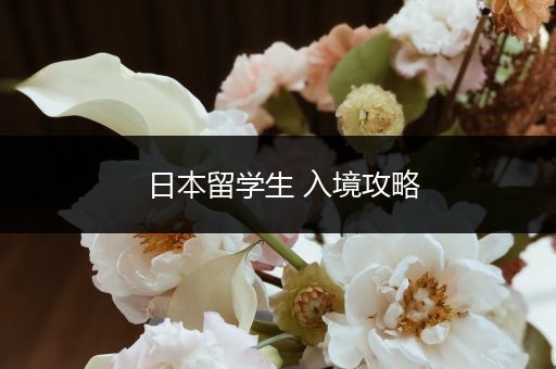日本留学生 入境攻略