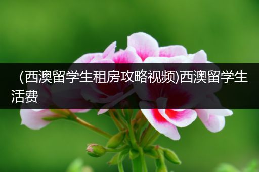 （西澳留学生租房攻略视频)西澳留学生活费
