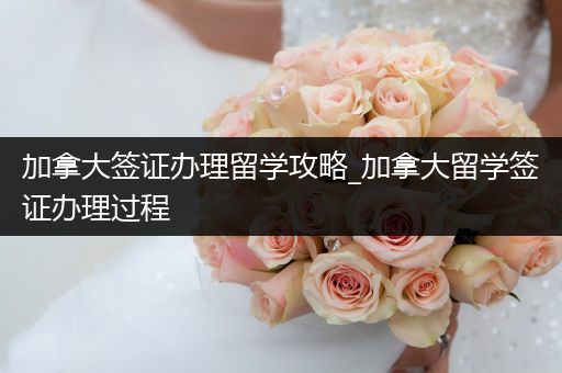 加拿大签证办理留学攻略_加拿大留学签证办理过程