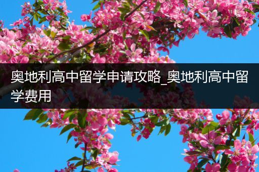 奥地利高中留学申请攻略_奥地利高中留学费用