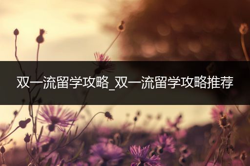 双一流留学攻略_双一流留学攻略推荐