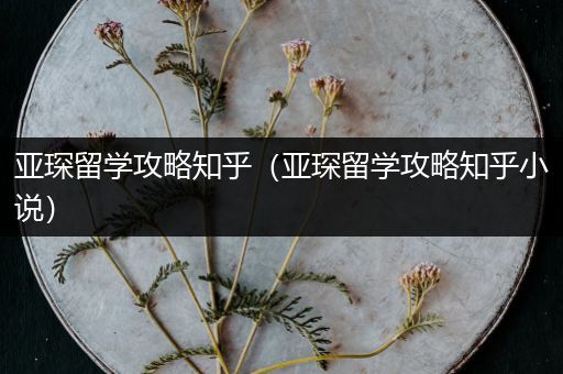 亚琛留学攻略知乎（亚琛留学攻略知乎小说）