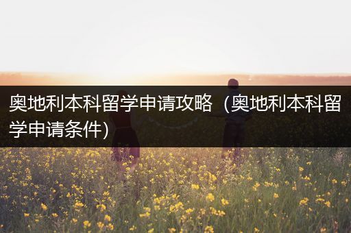 奥地利本科留学申请攻略（奥地利本科留学申请条件）