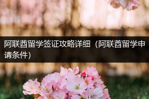 阿联酋留学签证攻略详细（阿联酋留学申请条件）