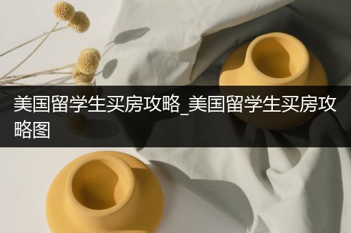 美国留学生买房攻略_美国留学生买房攻略图