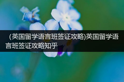 （英国留学语言班签证攻略)英国留学语言班签证攻略知乎