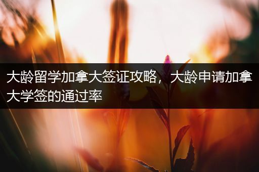 大龄留学加拿大签证攻略，大龄申请加拿大学签的通过率