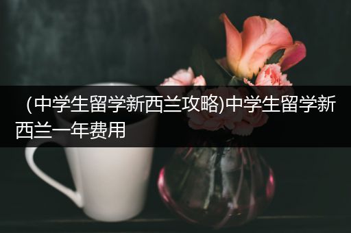 （中学生留学新西兰攻略)中学生留学新西兰一年费用