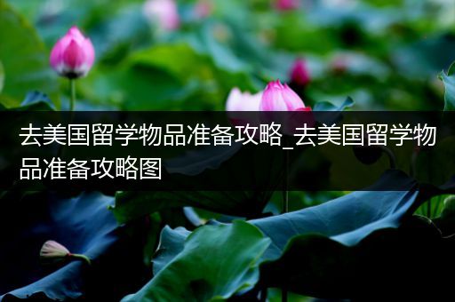 去美国留学物品准备攻略_去美国留学物品准备攻略图