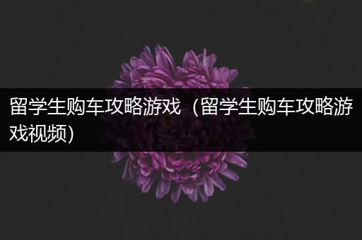 留学生购车攻略游戏（留学生购车攻略游戏视频）