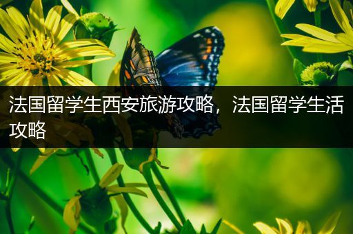 法国留学生西安旅游攻略，法国留学生活攻略