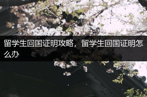 留学生回国证明攻略，留学生回国证明怎么办