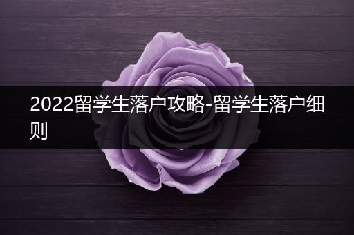2022留学生落户攻略-留学生落户细则