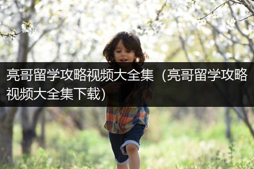 亮哥留学攻略视频大全集（亮哥留学攻略视频大全集下载）