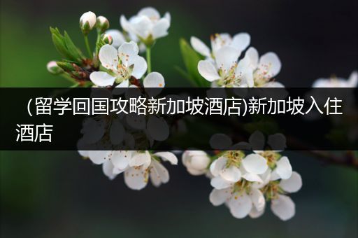 （留学回国攻略新加坡酒店)新加坡入住酒店