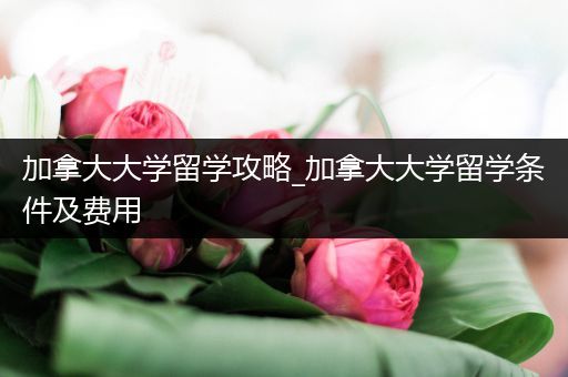 加拿大大学留学攻略_加拿大大学留学条件及费用