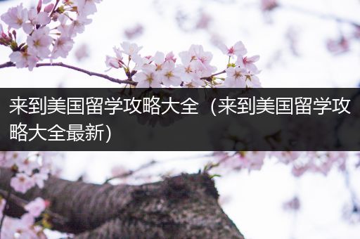 来到美国留学攻略大全（来到美国留学攻略大全最新）