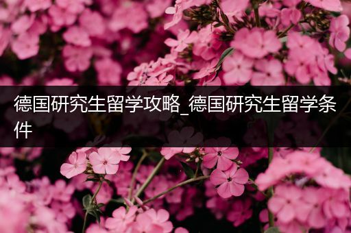 德国研究生留学攻略_德国研究生留学条件