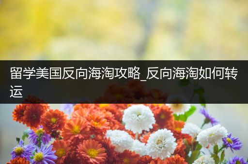 留学美国反向海淘攻略_反向海淘如何转运
