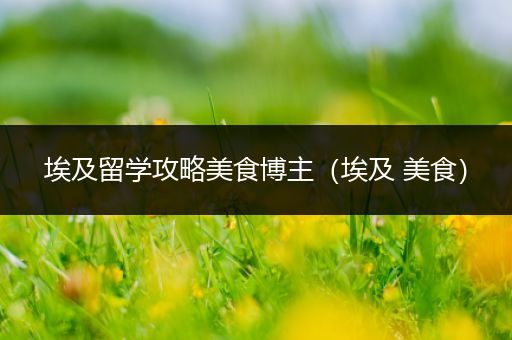 埃及留学攻略美食博主（埃及 美食）