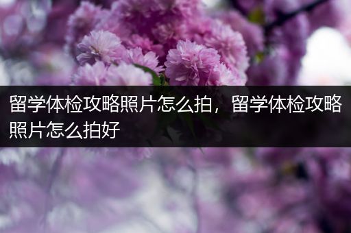 留学体检攻略照片怎么拍，留学体检攻略照片怎么拍好