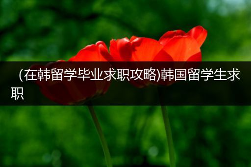（在韩留学毕业求职攻略)韩国留学生求职