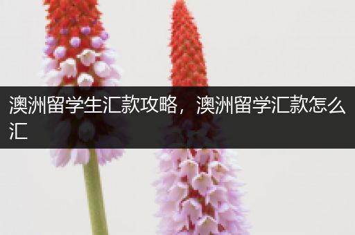 澳洲留学生汇款攻略，澳洲留学汇款怎么汇