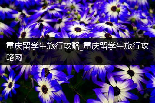 重庆留学生旅行攻略_重庆留学生旅行攻略网