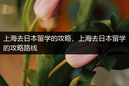 上海去日本留学的攻略，上海去日本留学的攻略路线