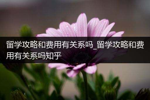 留学攻略和费用有关系吗_留学攻略和费用有关系吗知乎