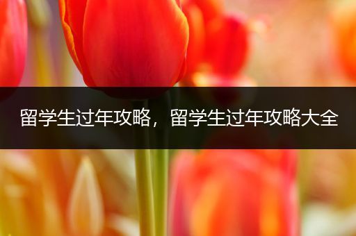 留学生过年攻略，留学生过年攻略大全