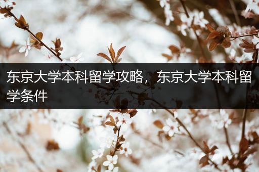 东京大学本科留学攻略，东京大学本科留学条件