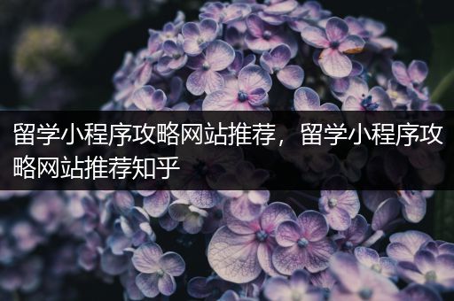 留学小程序攻略网站推荐，留学小程序攻略网站推荐知乎