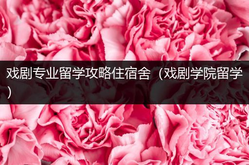 戏剧专业留学攻略住宿舍（戏剧学院留学）