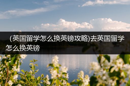 （英国留学怎么换英镑攻略)去英国留学怎么换英镑