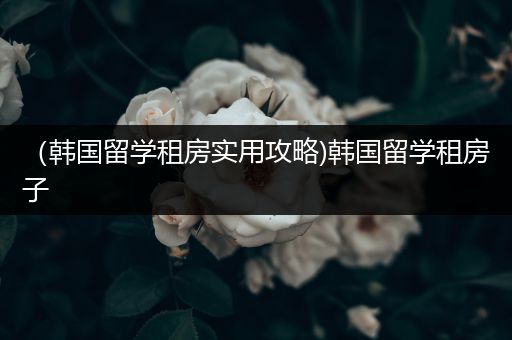 （韩国留学租房实用攻略)韩国留学租房子