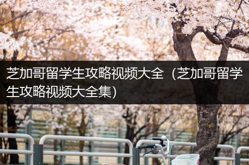 芝加哥留学生攻略视频大全（芝加哥留学生攻略视频大全集）