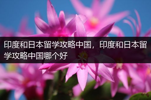 印度和日本留学攻略中国，印度和日本留学攻略中国哪个好