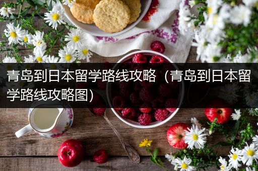 青岛到日本留学路线攻略（青岛到日本留学路线攻略图）