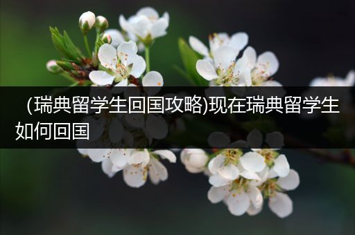 （瑞典留学生回国攻略)现在瑞典留学生如何回国