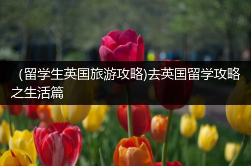 （留学生英国旅游攻略)去英国留学攻略之生活篇
